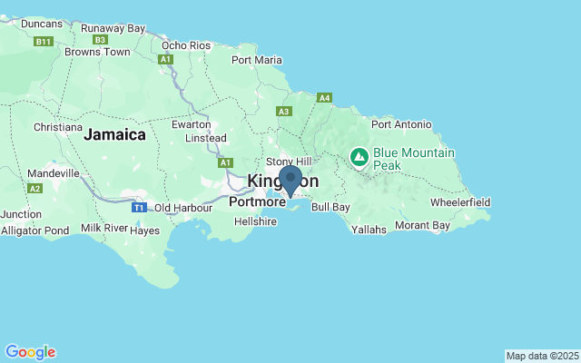 Kaart met locatie National Library of Jamaica